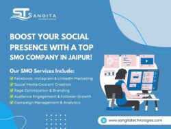Professional Social Media Optimization Services in Jaipur by Sangita Technologies