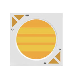 40W 60W CCT Tunable 1919 COB LED