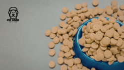 Anti-Inflammatory Dog Food for Healthier Pets