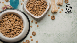 Anti Inflammatory Dog Food for Healthier Happier Pets