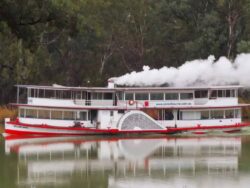 Sunset & Historic Paddle Steamer Experiences in Echuca Moama