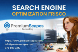 Search Engine Optimization in Frisco