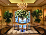 Affordable Indoor Office Plant Melbourne Solutions