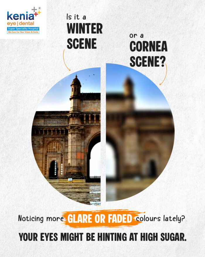 Blurred or Bright? Your Eyes Know First