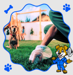 Best Dog Pooper Scooper Services: Find a Reliable Pooper Scooper Nearby Today