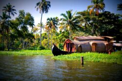 Best Kerala Tour Package for Family Vacations in 2026
