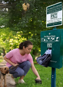 Pet Waste Removal Washington DC for Cleaner Communities