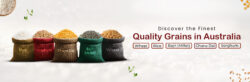 Premium Quality Grains in Australia – Wheat, Rice, Millet & More