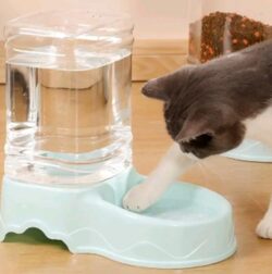 Automatic Water Replenishment Pet Drinking Fountain