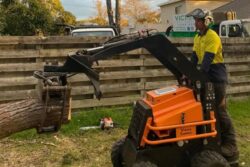 Tree Removal Glen Iris