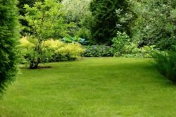 Gardeners Kew