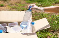 Pet Bottle Flakes: Transforming Waste into Valuable Resources