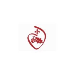 Catholic Schools in Missouri: Faith, Excellence, and Character
