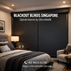 Blackout Blinds Singapore, Stylish and Functional Shades