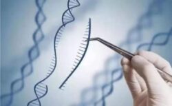 qPCR Probe Technology for Accurate Real-Time DNA Detection