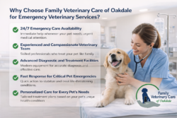 Why Choose Family Veterinary Care of Oakdale for Emergency Veterinary Services?