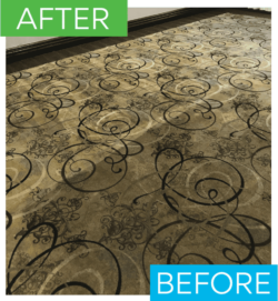 Commercial Carpet & Upholstery Deep Cleaning in North Carolina – Renue