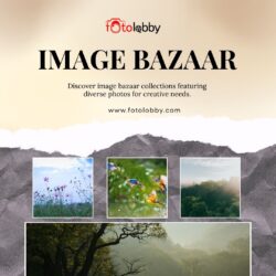 Image bazaar