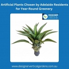 Artificial Plants Chosen by Adelaide Residents for Year-Round Greenery