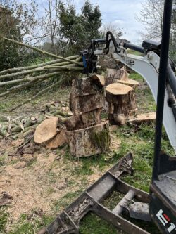 Professional Tree Logging Services in Lincolnshire