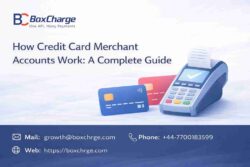 Credit Card Merchant Accounts Explained: The Payment Flow Every Business Must Know