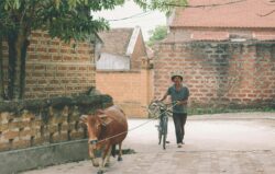 The First Two Days on a Vietnam Tour Package