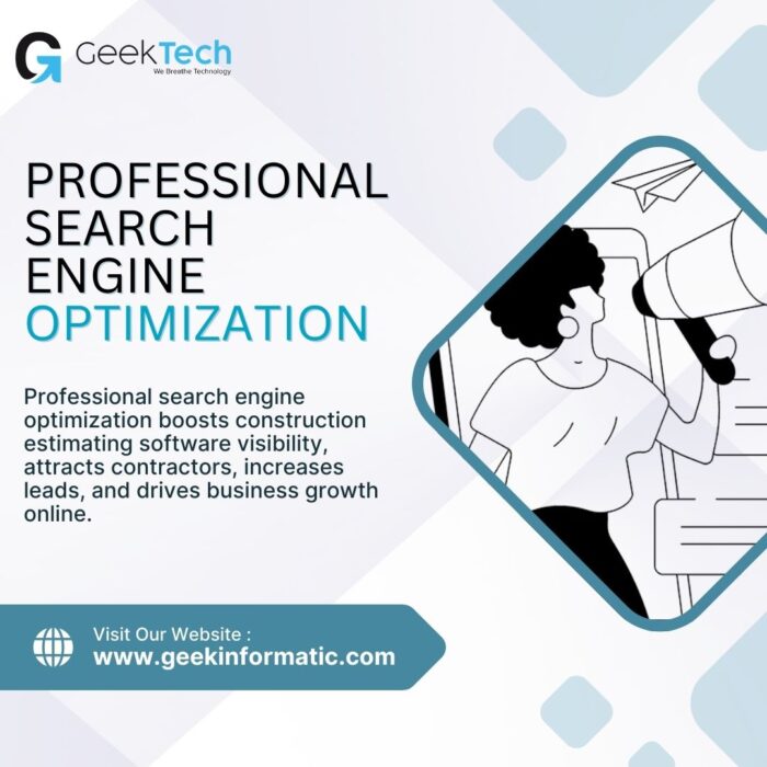 Professional Search Engine Optimization
