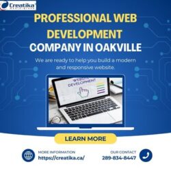 Professional Web Development Company in Oakville