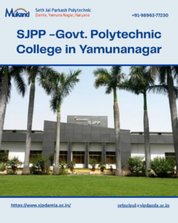 Best Govt. Diploma Courses in Haryana
