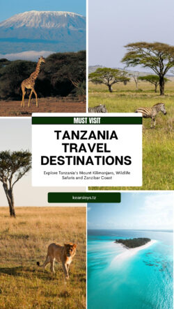 Luxury Tour Operator In Tanzania