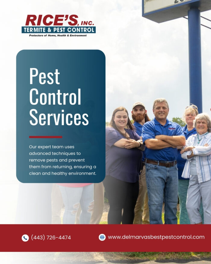 Advanced Termite Solution With Long-Lasting Protection