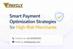 The Ultimate Guide to Payment Optimization for High-Risk Merchants
