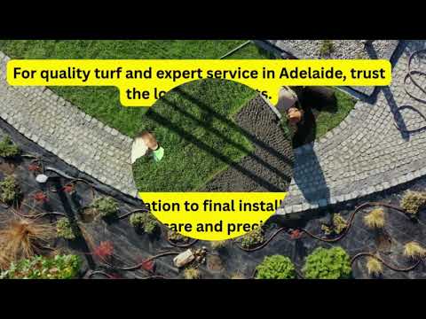 Natural Grass Adelaide