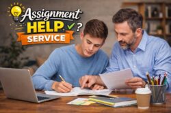 Online Law Essay Help with Expert Support