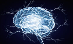 Brain Vex: Think Clearly, Perform Better