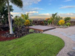 The Value of Professional Care for Your Garden