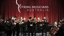 Hire Professional String Musicians Australia | Elegant Live Music