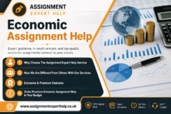 High-Quality Economic Assignment Help for University Students