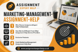 High-Quality Marketing-Management-Assignment-Help Service