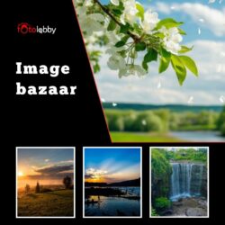 Image bazaar