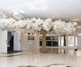 Professional Meeting Room Hire Made Easy in Melbourne