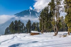 Kinnaur Spiti Tour From Chandigarh