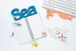 Importance of NAP Consistency for Local SEO in California