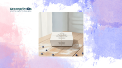 Bakery Box: A Sustainable Step Toward Better Packaging