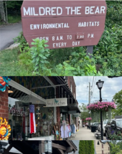 Travel Tuesday Deals 2024