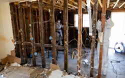 Black mold removal Binghamton NY