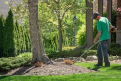 Trusted Local Garden Maintenance Services