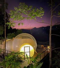 “Resorts in Munnar for Couples – LuxeGlamp “