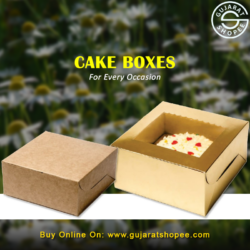 Eco-friendly Paper Cake Boxes – A Smart Packaging Choice for Bakeries
