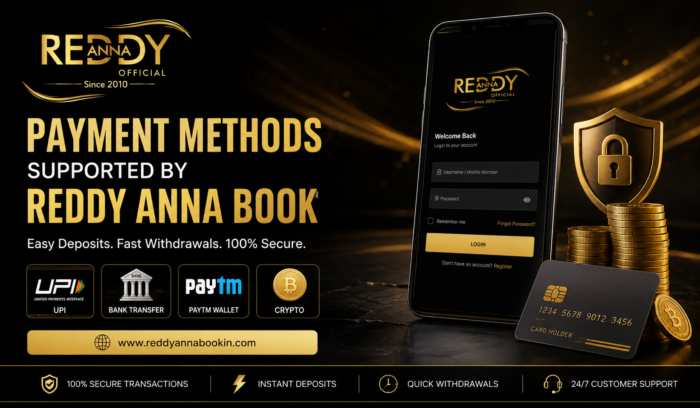 Payment Methods Supported by Reddy Anna Book